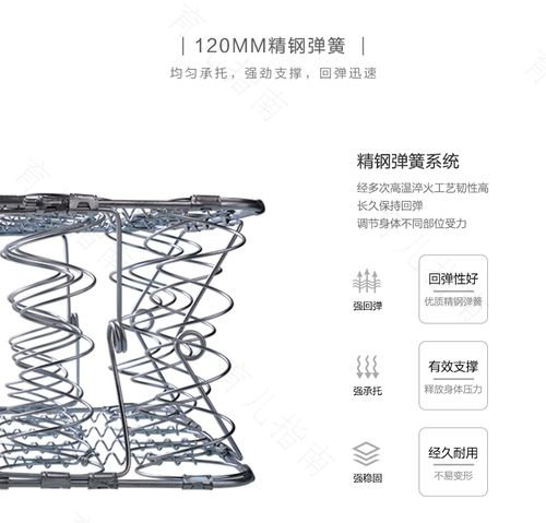 弹簧床越硬越能使脊椎骨保持挺直吗