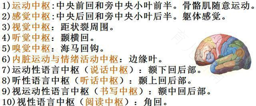 脑瘫与脑损伤有什么区别 脑瘫与脑损伤有什么区别