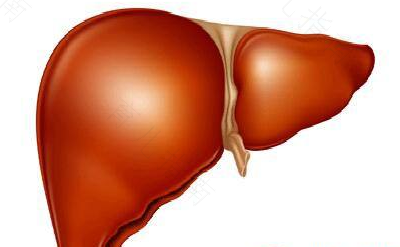 遗传性肝病能治好吗 遗传性肝病能治好吗