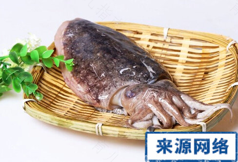 胆固醇高能不能吃墨鱼仔 胆固醇高能不能吃墨鱼仔