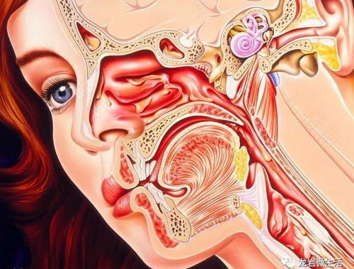 鼻子总是鼻塞怎么办 鼻子总是鼻塞怎么办