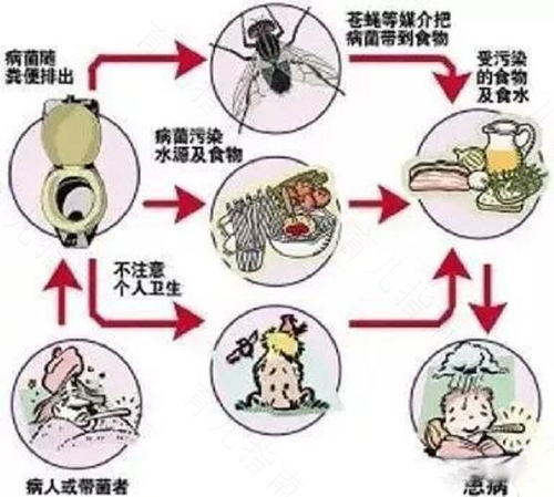 为什么会反复患上菌痢
