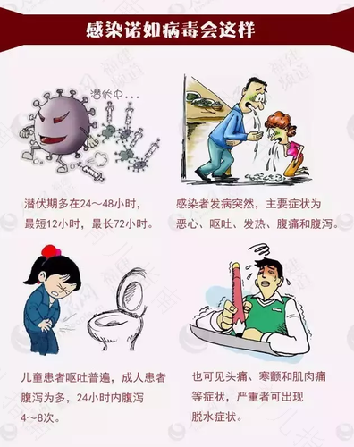 成人诺如病毒感染后的表现