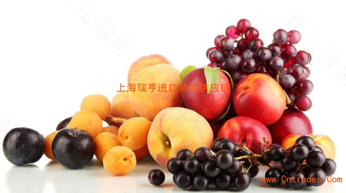 感冒鼻塞吃什么好的快偏方 感冒鼻塞吃什么好的快偏方