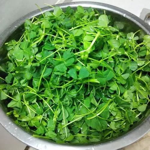 皮肤病能不能吃鸡蛋 皮肤病能不能吃鸡蛋