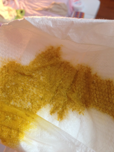 猫咪一直腹泻拉水怎么办 猫咪一直腹泻拉水怎么办