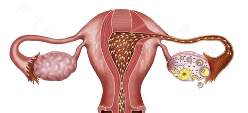 子宫复旧不全会一直流血吗