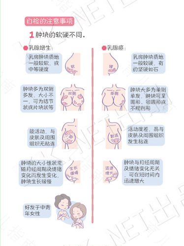 正常乳房内有硬块吗 正常乳房内有硬块吗