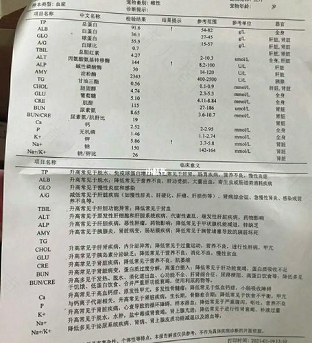 查看贫血主要看哪个指标 查看贫血主要看哪个指标