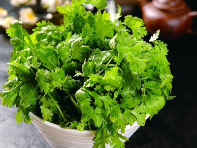 感冒能不能吃香菜?