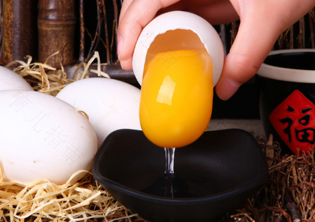 宝宝拉肚子可以吃鹅蛋吗 宝宝拉肚子可以吃鹅蛋吗