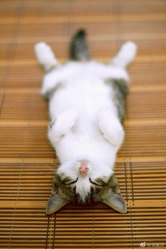 早上睡不醒是什么原因 早上睡不醒是什么原因