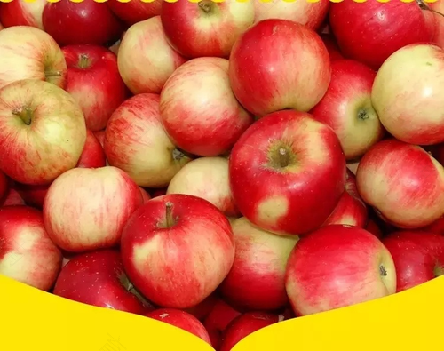 孩子发烧能不能吃苹果吗 孩子发烧能不能吃苹果吗