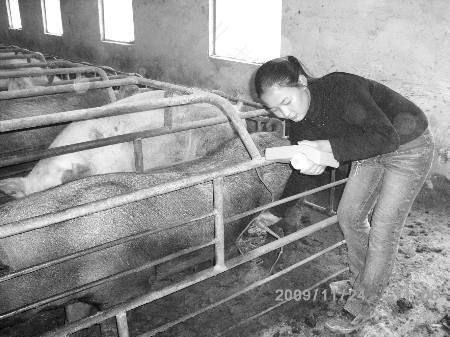 腰部b超能检查出什么