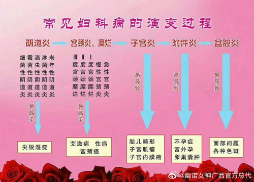外阴妇科疾病 外阴妇科疾病