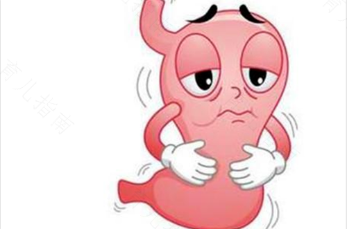 如何调理肠胃功能 如何调理肠胃功能