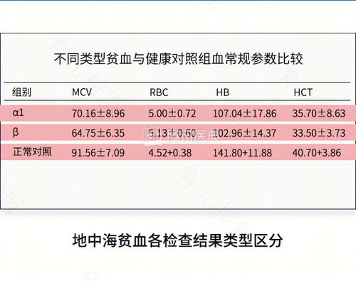 地中海贫血吃什么食物最好