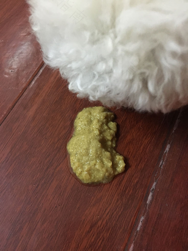 宝宝呕吐拉稀怎么回事 宝宝呕吐拉稀怎么回事