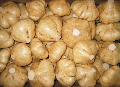 糖尿病人能不能吃苦瓜