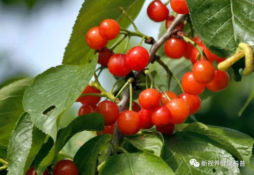 肠胃炎能吃草莓和樱桃吗 肠胃炎能吃草莓和樱桃吗