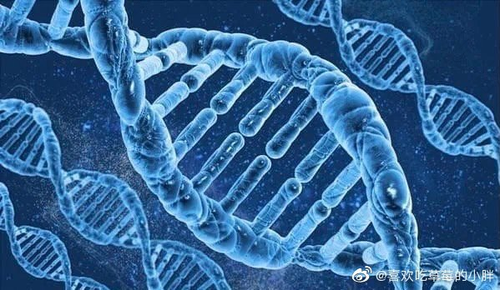 癌症有没有家族遗传性 癌症有没有家族遗传性