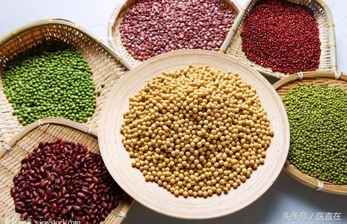 肠胃不消化吃什么好呢 肠胃不消化吃什么好呢