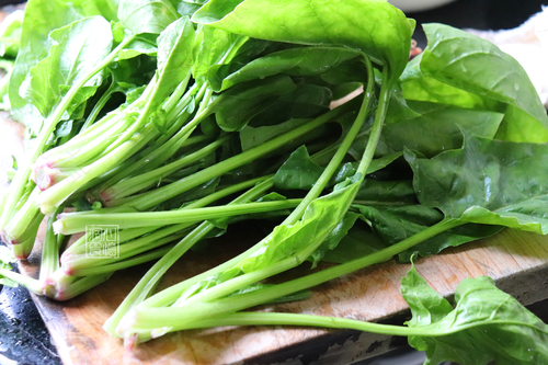 发烧能不能吃菠菜粥