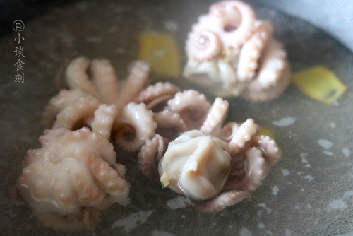 过敏能吃墨鱼吗 过敏能吃墨鱼吗