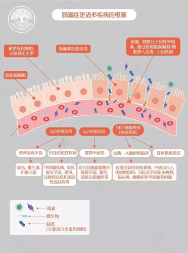 胃肠道过敏 胃肠道过敏