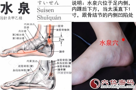男人脚后跟疼是肾虚吗 男人脚后跟疼是肾虚吗