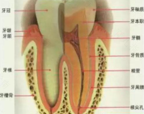 更年期综合症会牙疼吗