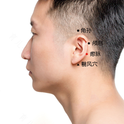 耳后乳突是在哪个位置