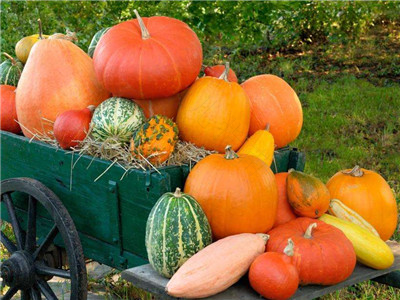 拉肚子能不能吃南瓜粥 拉肚子能不能吃南瓜粥