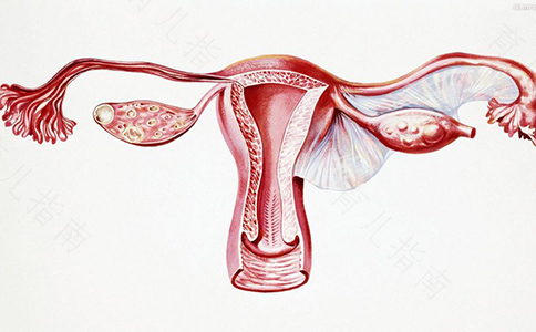 老年女性子宫萎缩有什么症状 老年女性子宫萎缩有什么症状