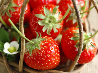 小孩感冒咳嗽能不能吃草莓 小孩感冒咳嗽能不能吃草莓