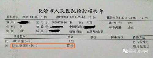 血型的rh是什么意思 血型的rh是什么意思