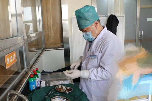 乳腺手术和子宫肌瘤手术可以同时做吗 乳腺手术和子宫肌瘤手术可以同时做吗