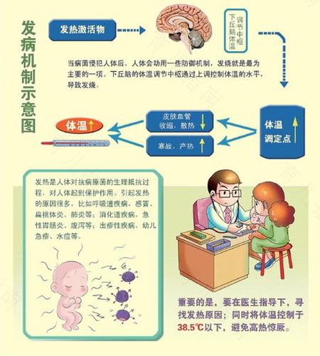 发烧用抗生素有什么副作用 发烧用抗生素有什么副作用