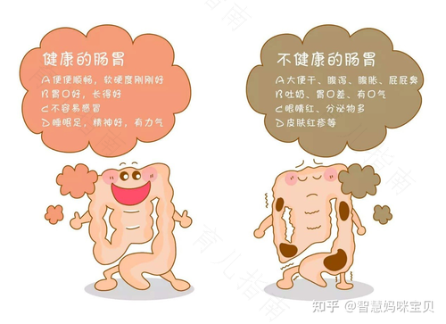 秋季腹泻应该怎么治疗