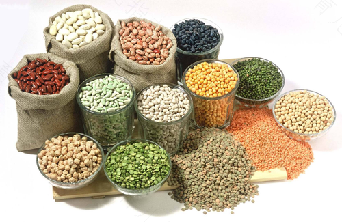 肠胃不好吃什么食物好调理