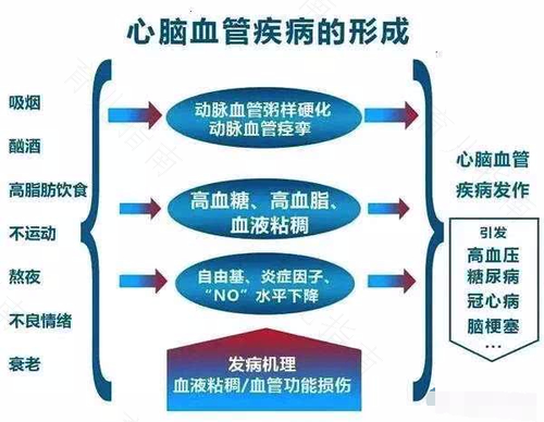 什么情况会引起血压高? 什么情况会引起血压高?
