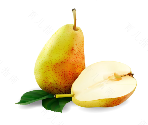 咳嗽吃什么梨子好得快