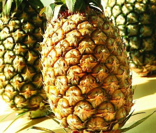 手术后能不能吃菠萝蜜 手术后能不能吃菠萝蜜