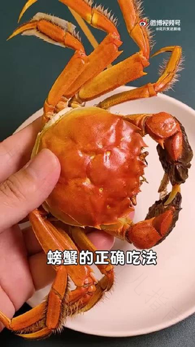 发烧能不能吃螃蟹海鲜 发烧能不能吃螃蟹海鲜