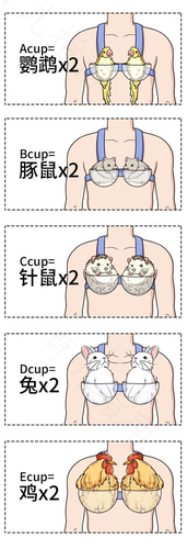副乳会越来越大吗很痛 副乳会越来越大吗很痛