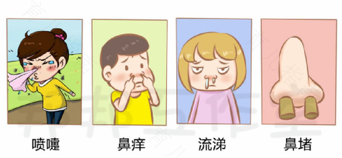 过敏性鼻炎鸡蛋能吃吗?