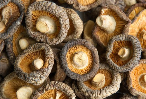 咳嗽有痰能不能吃香菇宝宝 咳嗽有痰能不能吃香菇宝宝