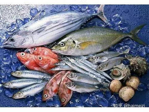 肺炎能不能吃鱼吗 肺炎能不能吃鱼吗
