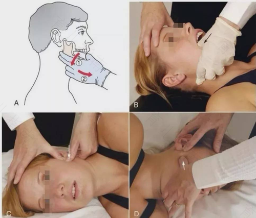 老人下巴抖动是怎么回事 老人下巴抖动是怎么回事