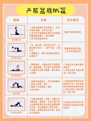 骨盆底肌训练方法视频 骨盆底肌训练方法视频